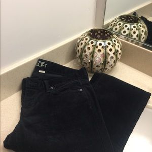 Ann Taylor Loft Jeans